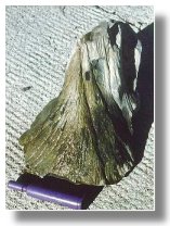 shatter cone